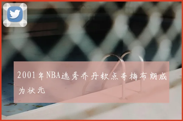 2001年NBA选秀乔丹钦点夸梅布朗成为状元